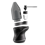 Focus V Carta Sport - Black