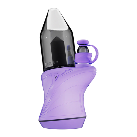 Focus V Carta Sport - Lilac