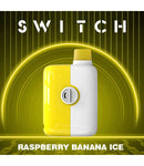 Rasberry Banana Ice Mr Fog switch